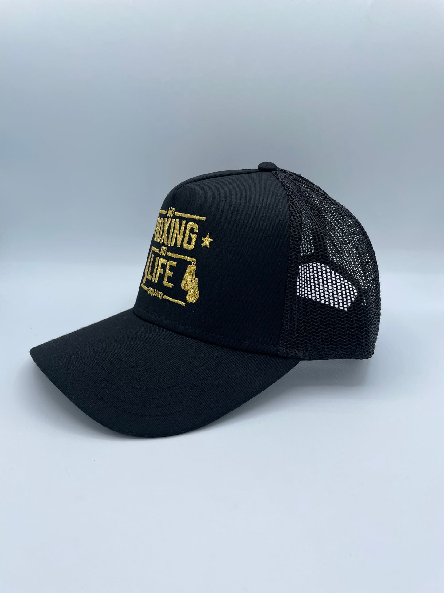 No Boxing No Life Squad Embroidered hat.